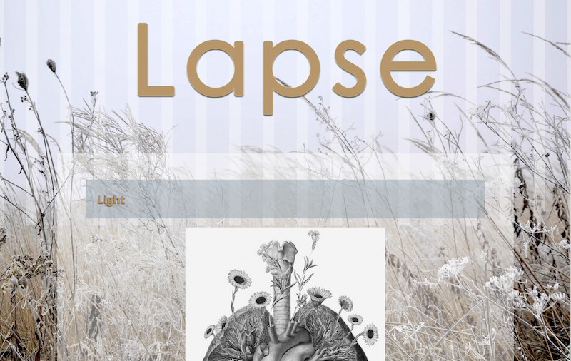 Sandbox.leighcotnoir.com/studentwork/beginningweb/03 Image Prep/su14 1 Lapse/