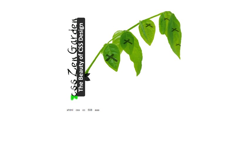 Sandbox.leighcotnoir.com/studentwork/beginningweb/zengarden/ Young J/