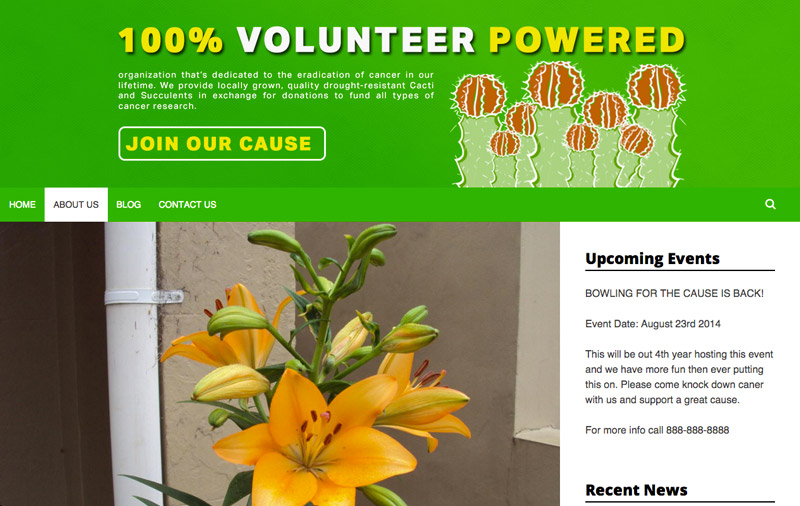 Sw02.cotnoirdesign.com